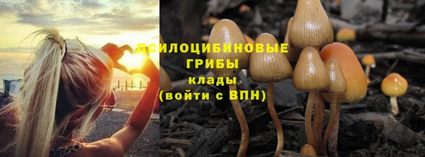кристаллы Алзамай