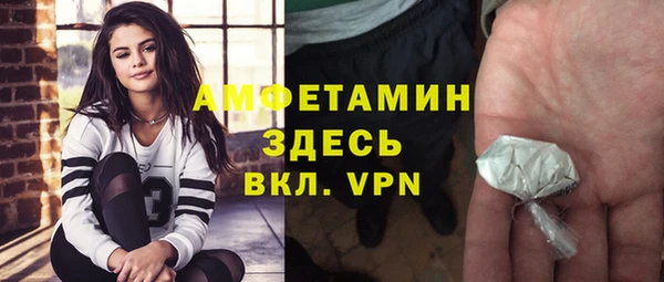 гашик Алексин