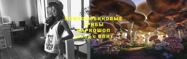 гашик Алексин