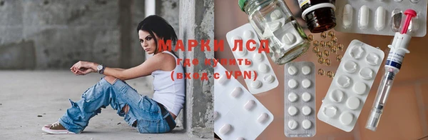 гашик Алексин