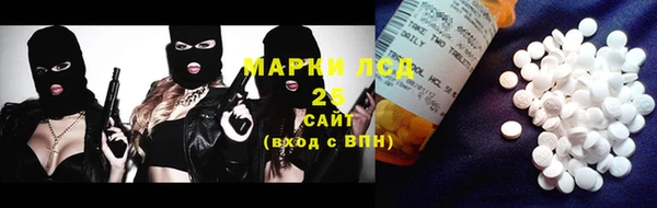 гашик Алексин
