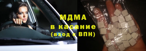 гашик Алексин