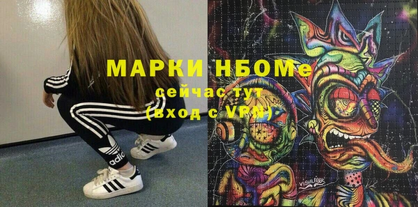 гашик Алексин