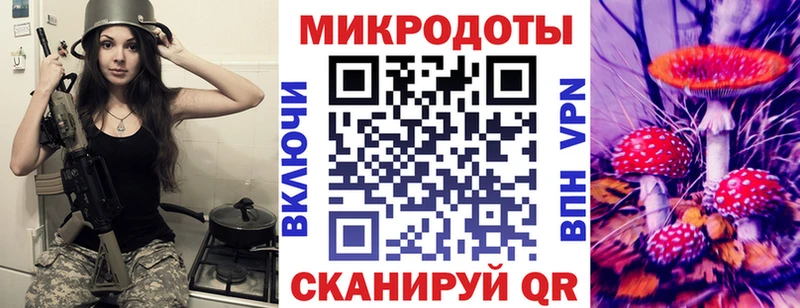 как найти   Камбарка  Галлюциногенные грибы ЛСД 